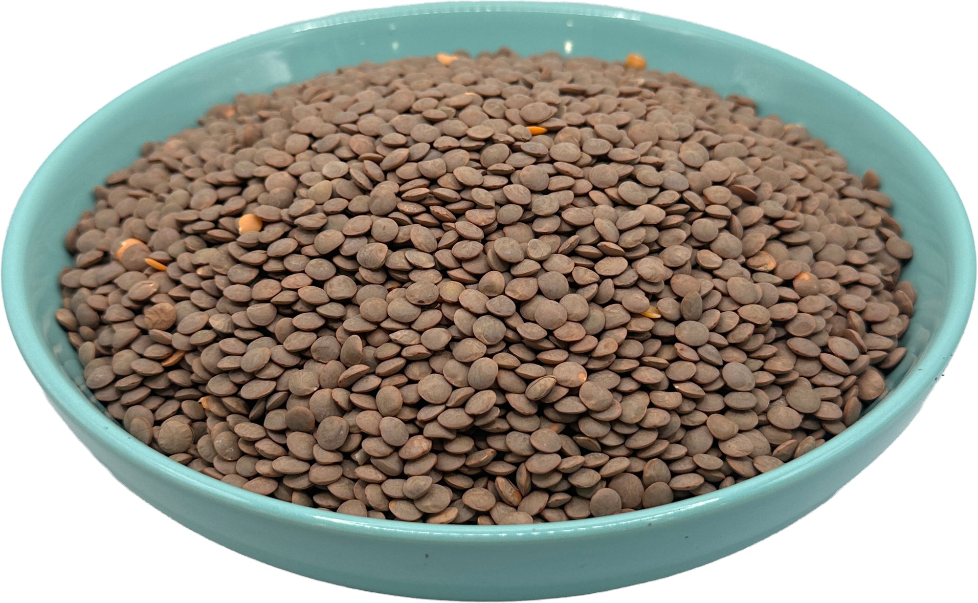 Brown Lentil